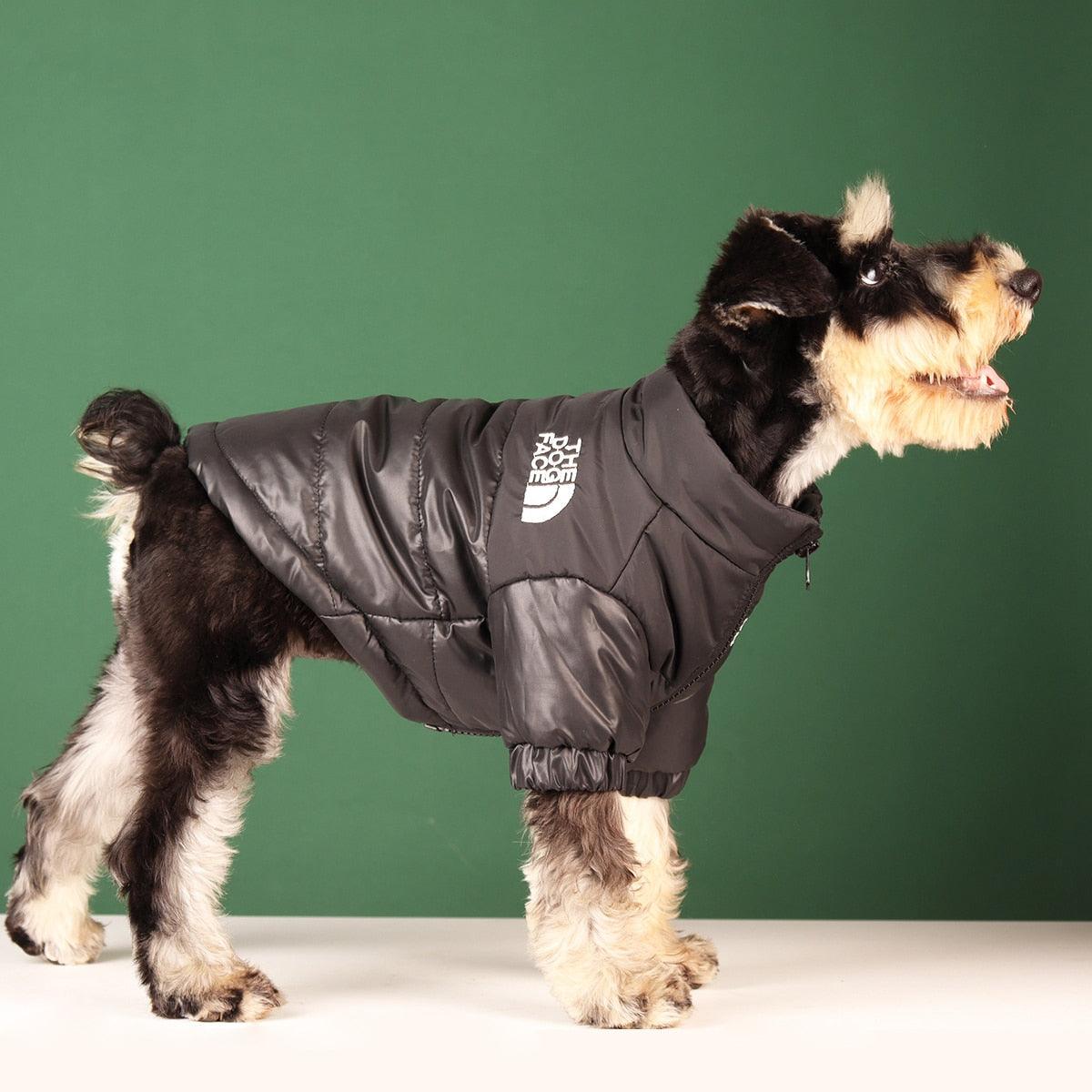 Windproof Reflective Dog Jacket - SteelBlue & Co.