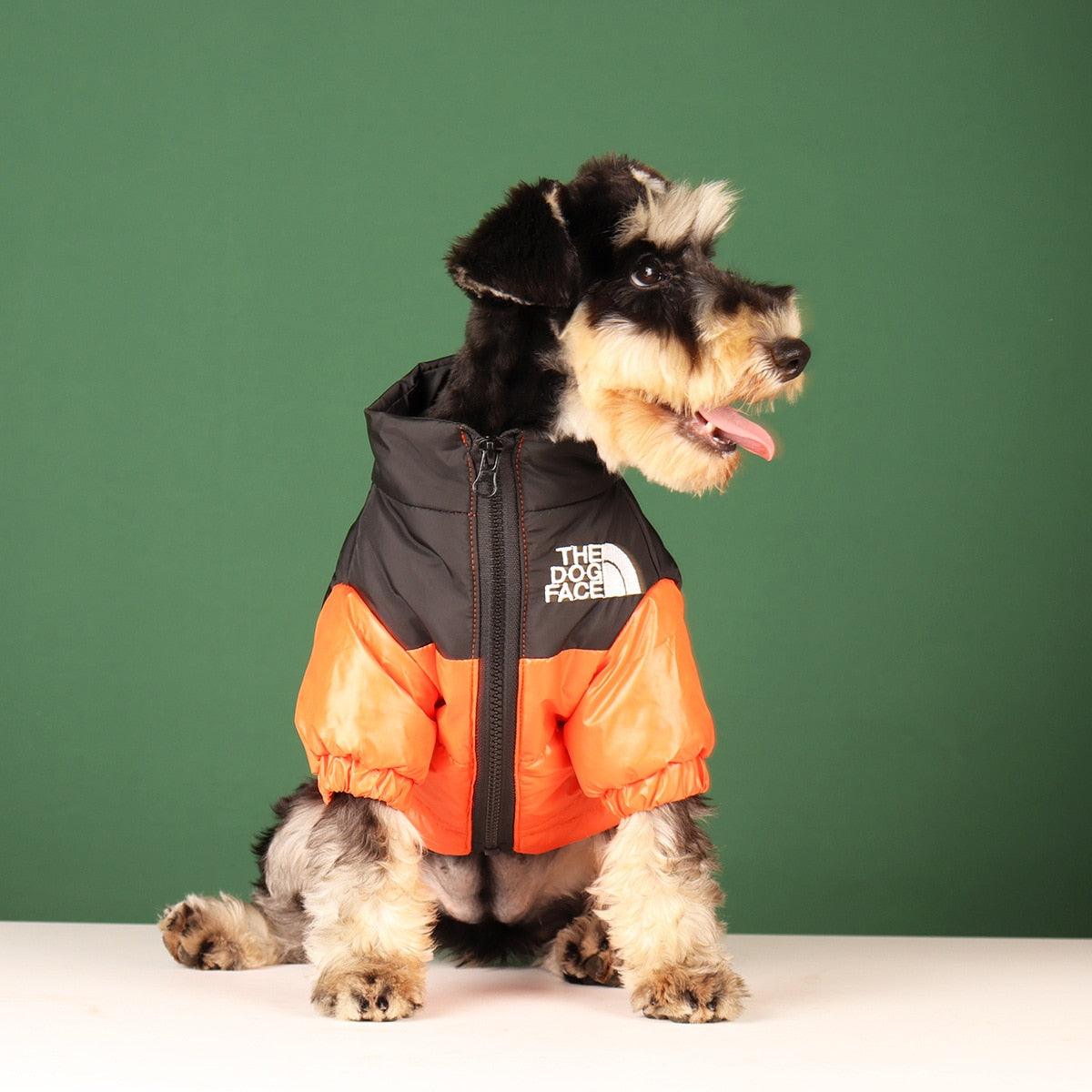 Windproof Reflective Dog Jacket - SteelBlue